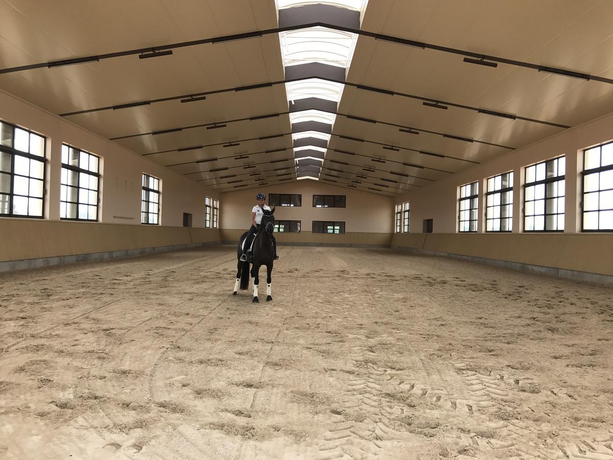 Willa Vmg Horse Ranch (Adults Only) Llucmajor  Zewnętrze zdjęcie