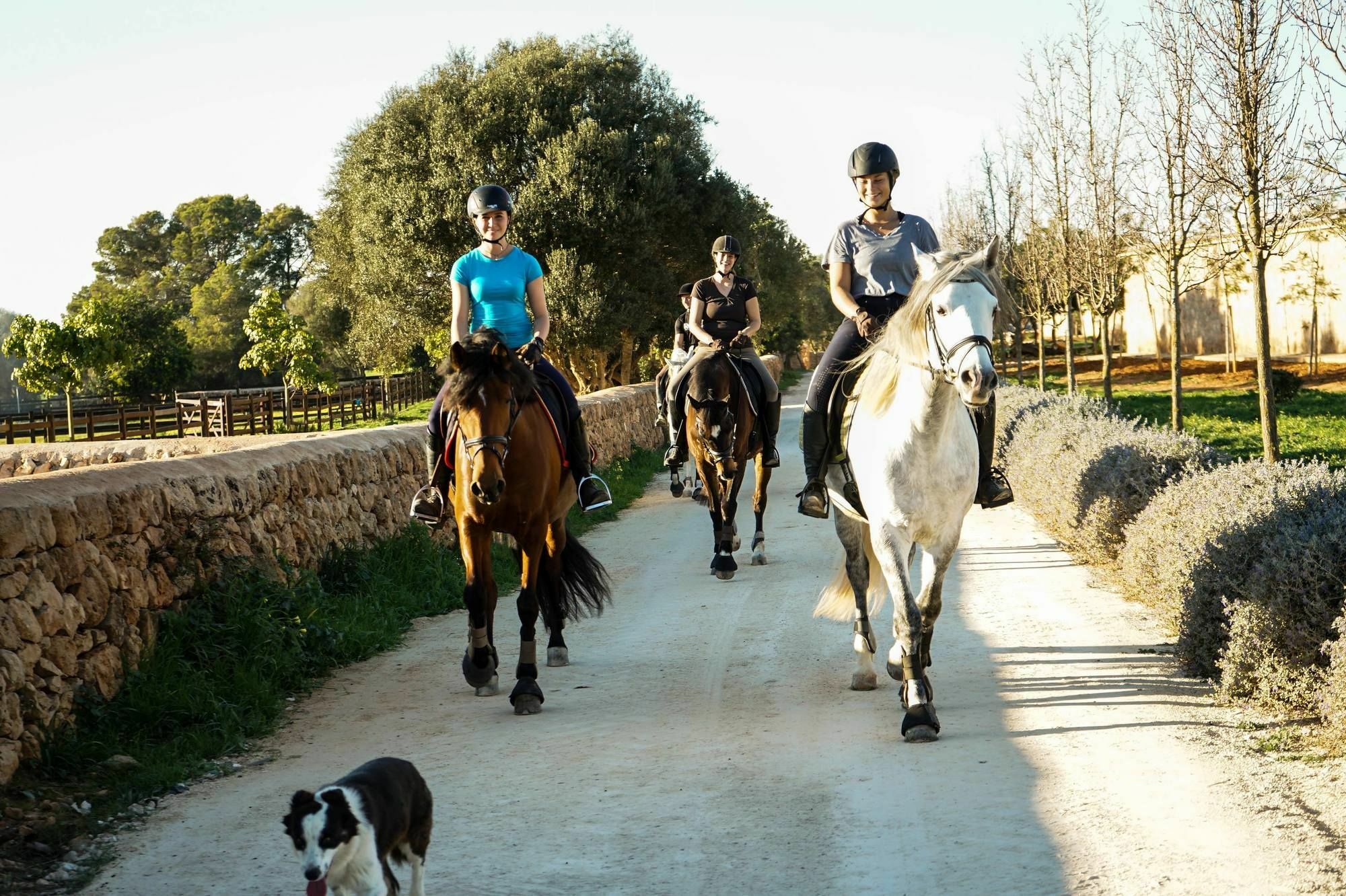 Willa Vmg Horse Ranch (Adults Only) Llucmajor  Zewnętrze zdjęcie