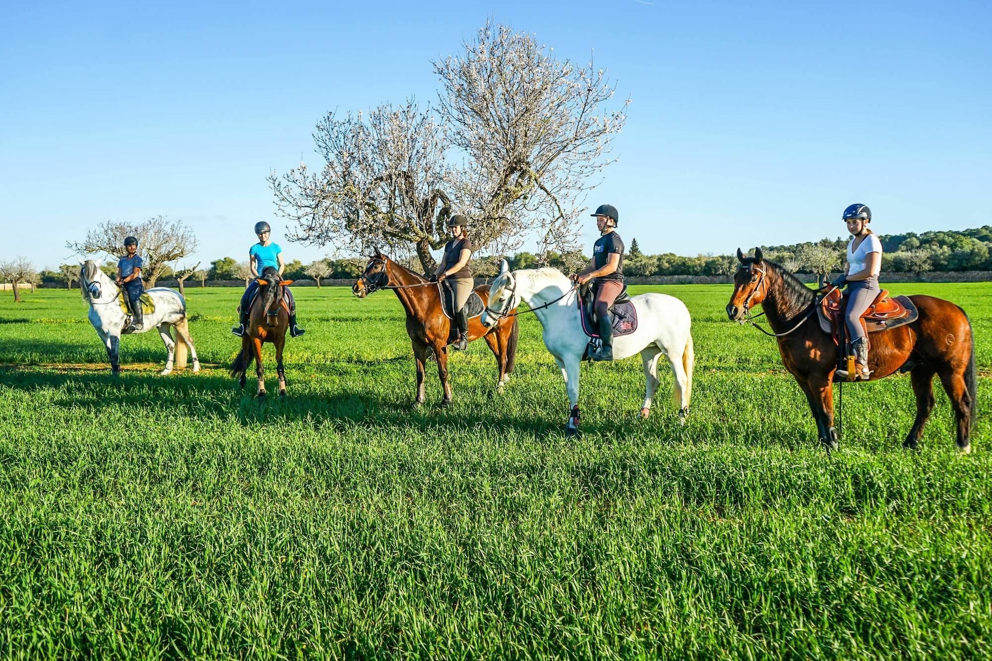 Willa Vmg Horse Ranch (Adults Only) Llucmajor  Zewnętrze zdjęcie