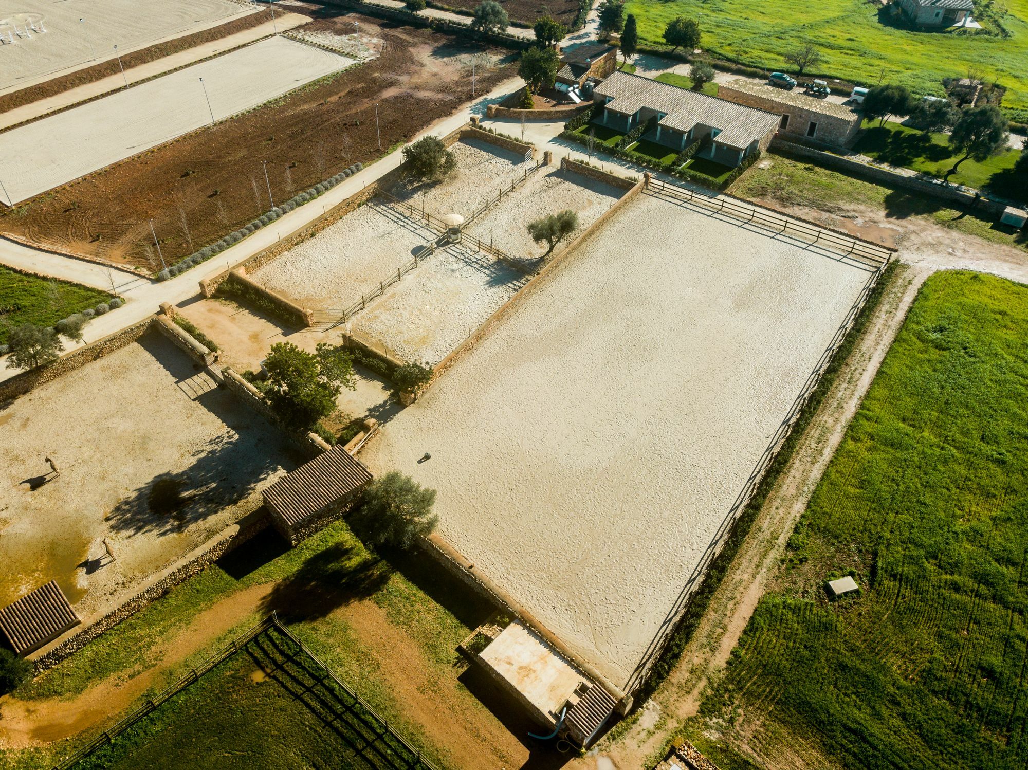 Willa Vmg Horse Ranch (Adults Only) Llucmajor  Zewnętrze zdjęcie